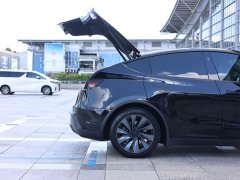 Tesla Model Y Long Range All-Wheel Drive - ფოტო 8