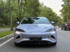 BYD Dolphin 510 Smart Navigation Edition - ფოტო 4