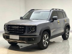 Great Wall Dachshund 2021 1.5T DCT Two-Wheel Drive Labrador Edition - ფოტო 1