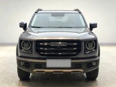 Great Wall Dachshund 2021 1.5T DCT Two-Wheel Drive Labrador Edition - ფოტო 2