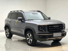 Great Wall Dachshund 2021 1.5T DCT Two-Wheel Drive Labrador Edition - ფოტო 3