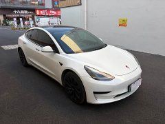 Tesla Model 3 Standard Range RWD Upgrade 3D6 - ფოტო 3
