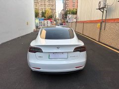Tesla Model 3 Standard Range RWD Upgrade 3D6 - ფოტო 8