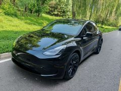 Tesla Model Y Rear-Wheel Drive - ფოტო 1
