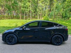 Tesla Model Y Rear-Wheel Drive - ფოტო 4