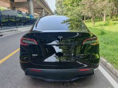 Tesla Model Y Rear-Wheel Drive - ფოტო 5