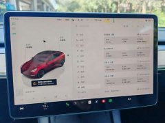 Tesla Model Y Rear-Wheel Drive - ფოტო 7