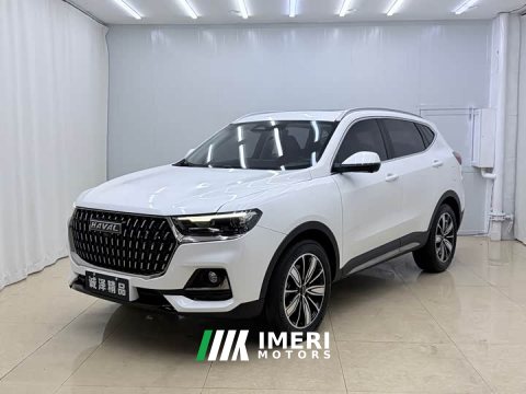 2023 Haval H6 National Trend Edition 1.5T Automatic Champion Version - ავტომობილი ჩინეთიდან