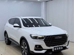 Haval H6 National Trend Edition 1.5T Automatic Champion Version - ფოტო 3