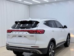 Haval H6 National Trend Edition 1.5T Automatic Champion Version - ფოტო 4