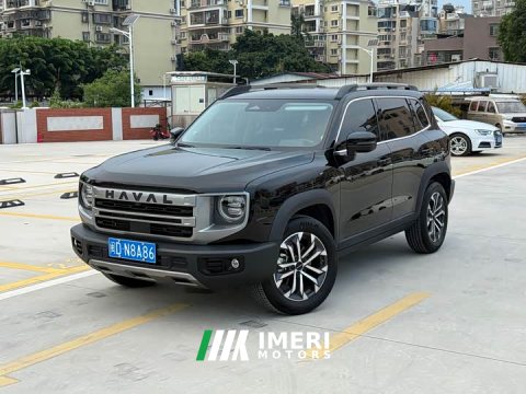 2023 Great Wall Dachshund 2024 1.5T DCT Border Collie Edition - ავტომობილი ჩინეთიდან