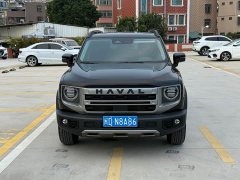 Great Wall Dachshund 2024 1.5T DCT Border Collie Edition - ფოტო 2