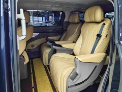 Denza BYD Denza D9 2022 DM-i 1040 Premium - ფოტო 10