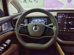 Denza BYD Denza D9 2022 DM-i 1040 Premium - ფოტო 13