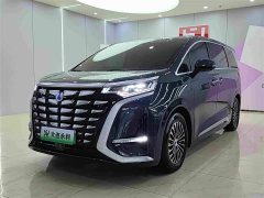 Denza BYD Denza D9 2022 DM-i 1040 Premium - ფოტო 2