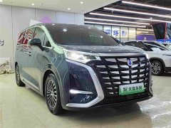 Denza BYD Denza D9 2022 DM-i 1040 Premium - ფოტო 4