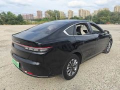 BYD Destroyer 05 Glory Edition DM-i 55KM Luxury - ფოტო 6