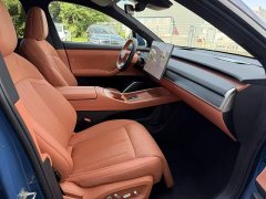 Nio Lerado L60 60kWh Rear-Wheel Drive - ფოტო 14