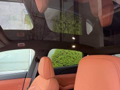 Nio Lerado L60 60kWh Rear-Wheel Drive - ფოტო 16