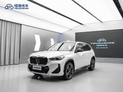 BMW X1 xDrive25Li M Sport Package - ფოტო 1