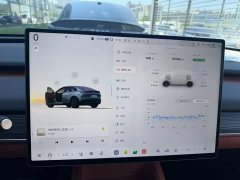 Nio Lerado L60 2024 60kWh Rear-Wheel Drive - ფოტო 3