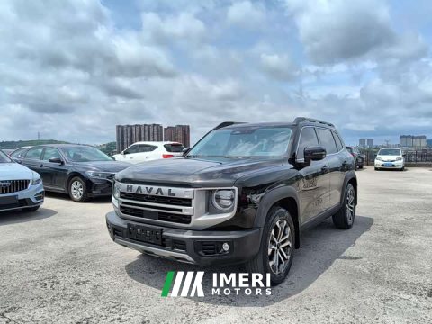 2023 Great Wall Dachshund 2024 1.5T DCT Border Collie Edition - ავტომობილი ჩინეთიდან