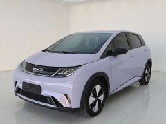 BYD Dolphin 2024 Glory Edition 420km Fashion Version - ფოტო 1