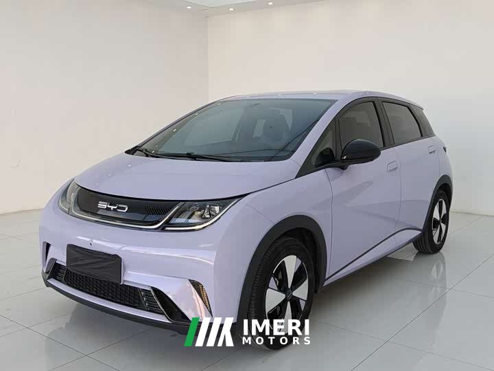 BYD Dolphin Glory Edition 420km Fashion Version