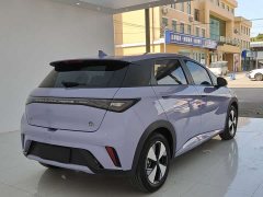 BYD Dolphin 2024 Glory Edition 420km Fashion Version - ფოტო 15