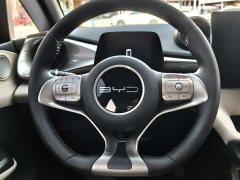 BYD Dolphin 2024 Glory Edition 420km Fashion Version - ფოტო 8
