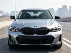 BMW 3 Series 330Li M Sport Night Edition Package - ფოტო 2