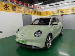 ORA Good Cat 401km Standard Range Deluxe LFP - ფოტო 1