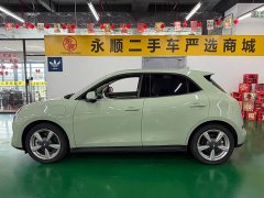 ORA Good Cat 401km Standard Range Deluxe LFP - ფოტო 10
