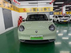 ORA Good Cat 401km Standard Range Deluxe LFP - ფოტო 2