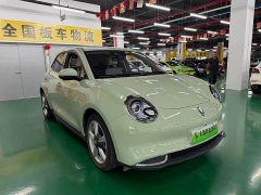 ORA Good Cat 401km Standard Range Deluxe LFP - ფოტო 3