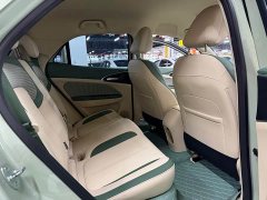 ORA Good Cat 401km Standard Range Deluxe LFP - ფოტო 5