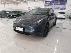 Tesla Model Y Rear-Wheel Drive - ფოტო 1