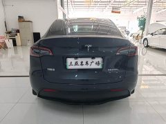 Tesla Model Y Rear-Wheel Drive - ფოტო 8