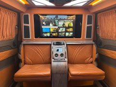 Ford Watson Wilford Black Warrior 2.0T Gasoline Peak Edition - ფოტო 11