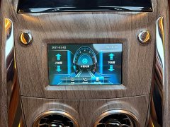 Ford Watson Wilford Black Warrior 2.0T Gasoline Peak Edition - ფოტო 13