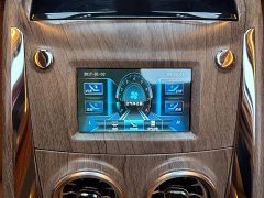 Ford Watson Wilford Black Warrior 2.0T Gasoline Peak Edition - ფოტო 14