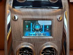 Ford Watson Wilford Black Warrior 2.0T Gasoline Peak Edition - ფოტო 15
