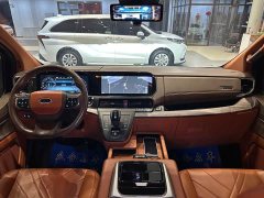 Ford Watson Wilford Black Warrior 2.0T Gasoline Peak Edition - ფოტო 20