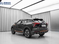 Haval Divine Beast 1.5T Smart Enjoy Edition - ფოტო 11