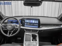 Haval Divine Beast 1.5T Smart Enjoy Edition - ფოტო 13