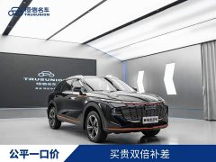 Haval Divine Beast 1.5T Smart Enjoy Edition - ფოტო 2