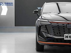 Haval Divine Beast 1.5T Smart Enjoy Edition - ფოტო 4