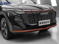 Haval Divine Beast 1.5T Smart Enjoy Edition - ფოტო 6