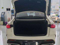 BYD Dolphin 06 DM-i Smart Drive 120KM Deluxe - ფოტო 10