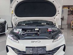 BYD Dolphin 06 DM-i Smart Drive 120KM Deluxe - ფოტო 3